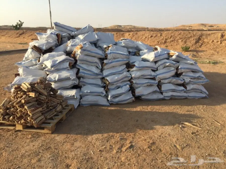  ح ط ب المدينة سمر صافي 