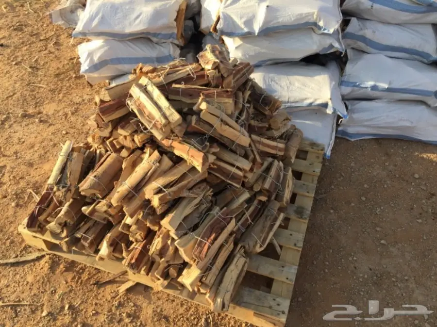  ح ط ب المدينة سمر صافي  (image 1)