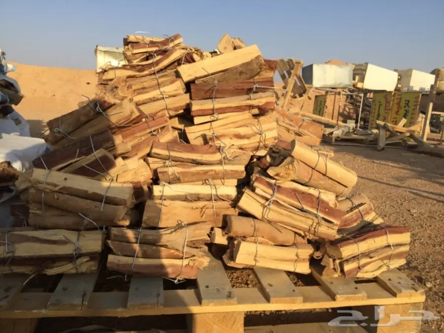  ح ط ب المدينة سمر صافي  (image 2)