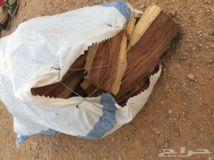  ح ط ب المدينة سمر صافي  (image 8)