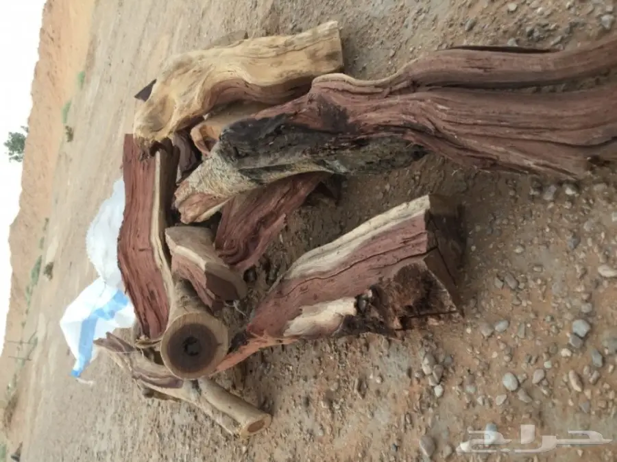  ح ط ب المدينة سمر صافي  (image 10)