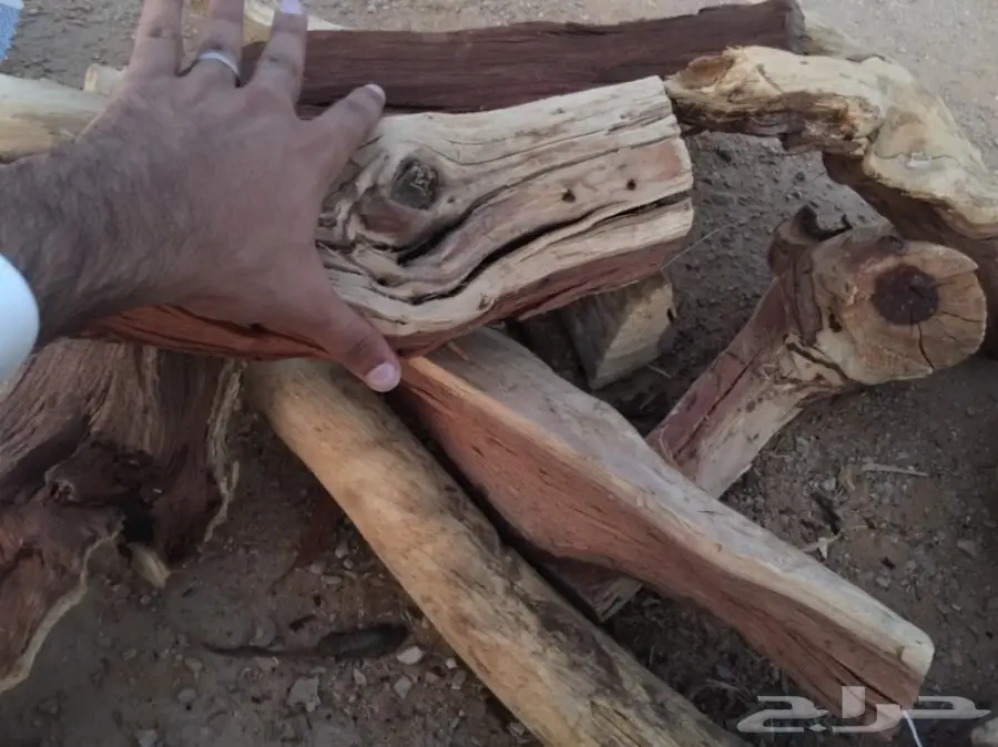  ح ط ب المدينة سمر صافي  (image 12)