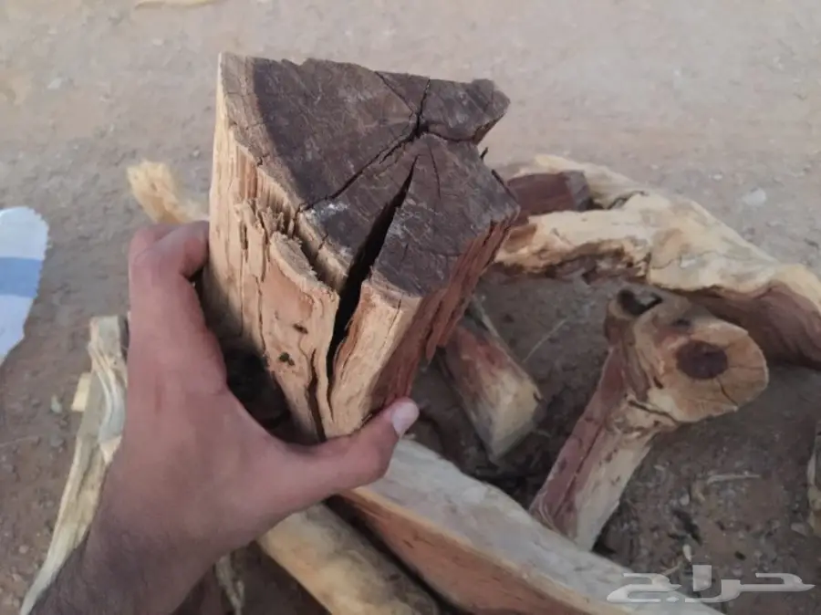  ح ط ب المدينة سمر صافي  (image 13)