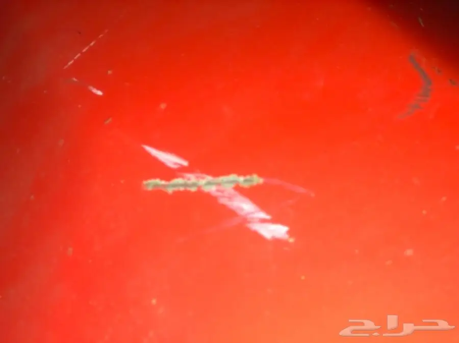 رفارف جمس 79 (image 3)