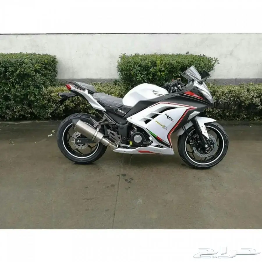 الان ريس بسعر 6500 لمدة محدودة (image 31)
