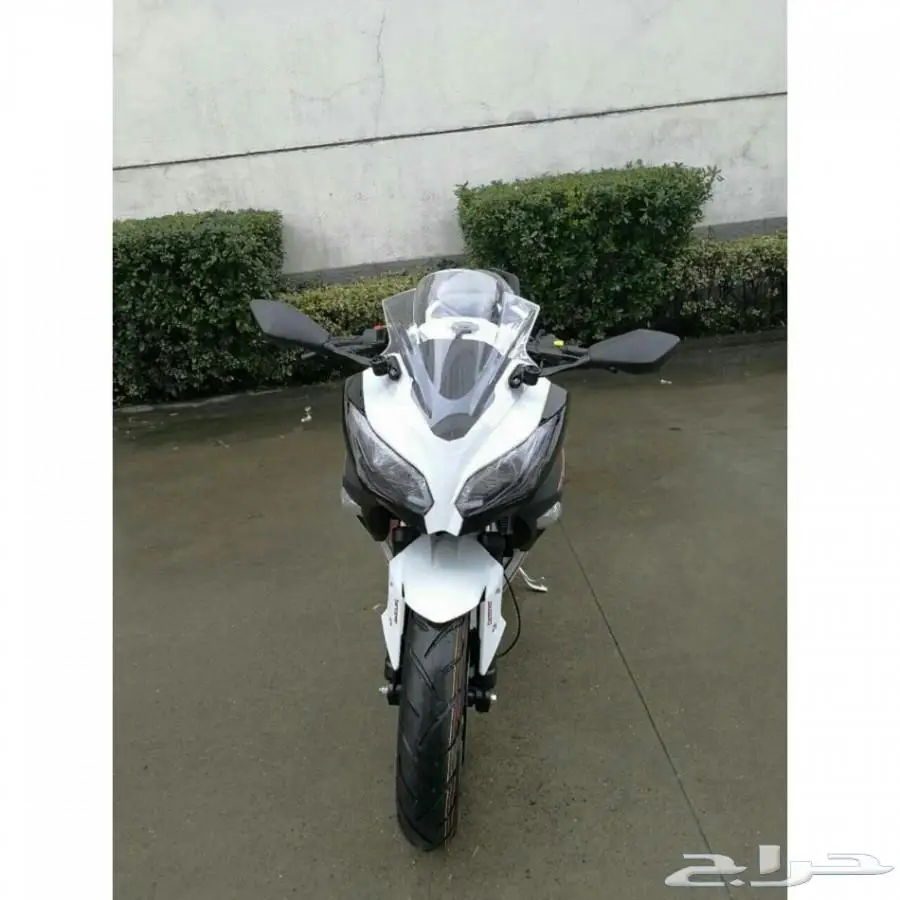 الان ريس بسعر 6500 لمدة محدودة (image 32)