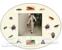 مكافحة حشرات مكافحة فئران نمل ابيض رش دفان رش (image 3)