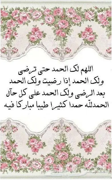 اجهزة كهربائية رائد الاستبدال للاجهزة  (image 28)