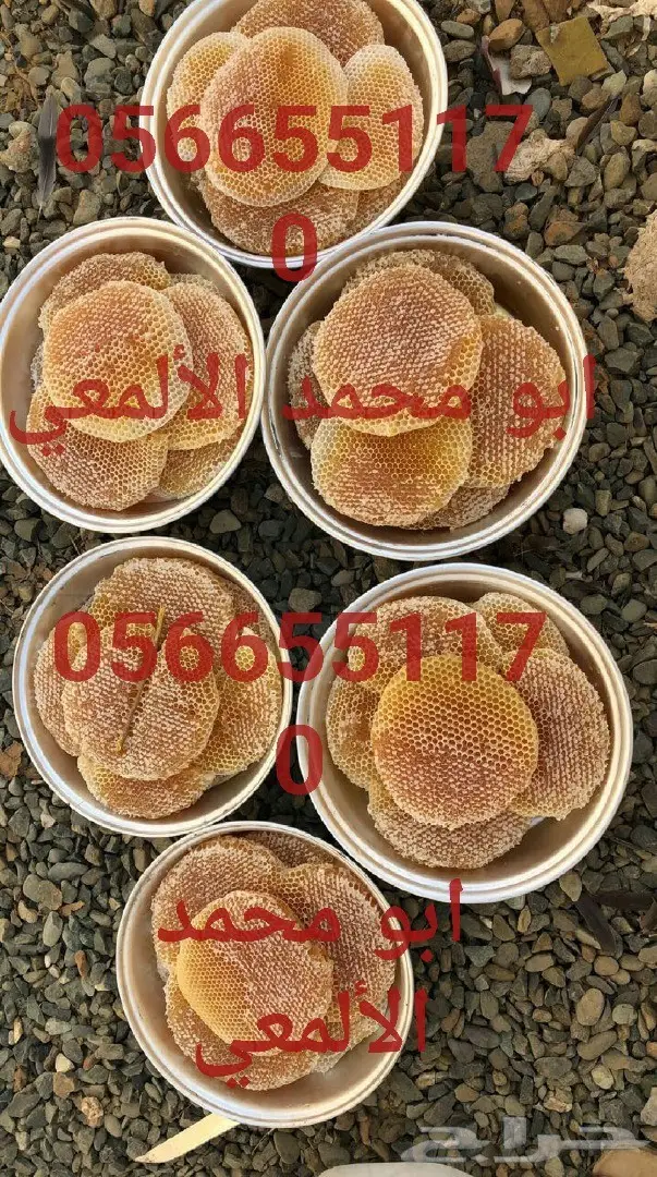 عسل سدر أصلي- عسل سمره حياكم عروض بسعر الجملة (image 14)