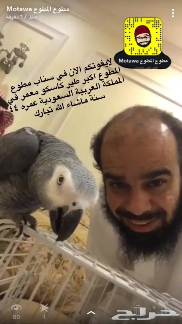 أكبر كاسكو في السعودية: مطوع - فرصة لا تُفوّت!