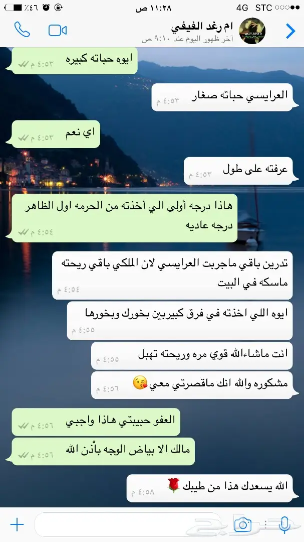 معمول دوسري درجه أولى كرتون 24حبه1700ريال (image 13)