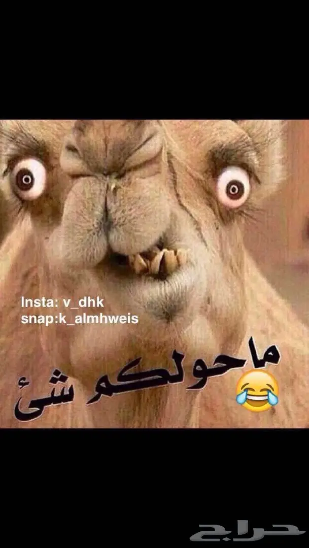 سلفرادو hd غماره من 2008 لي عشره 