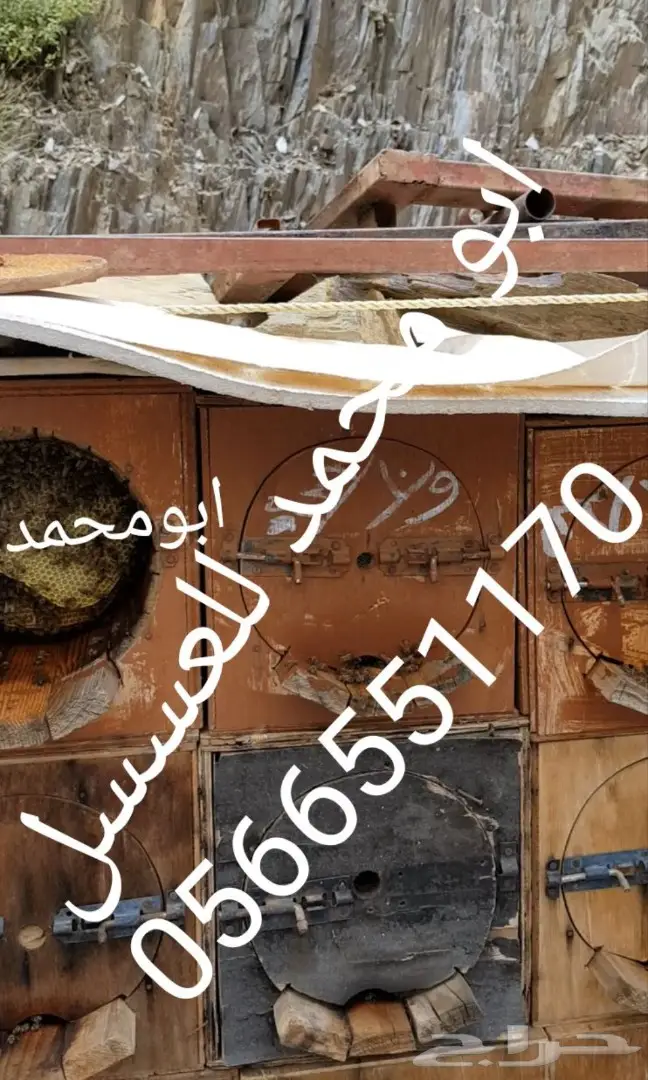 عسل سدر أصلي- عسل سمره حياكم عروض بسعر الجملة (image 11)