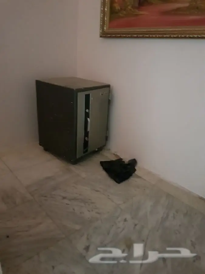 جهاز تكسير الدهون وخزنه (image 1)
