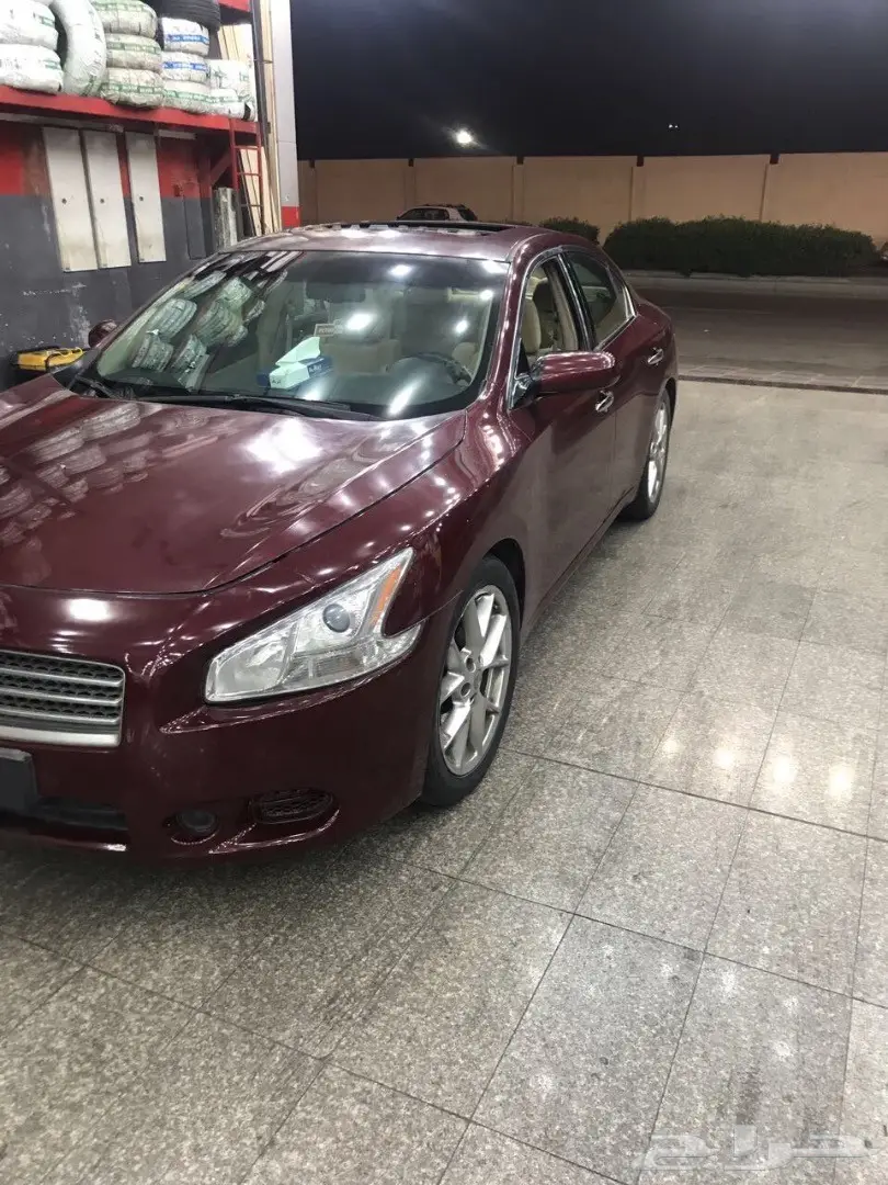 نيسان مكسيما 2010 فل كامل (image 1)