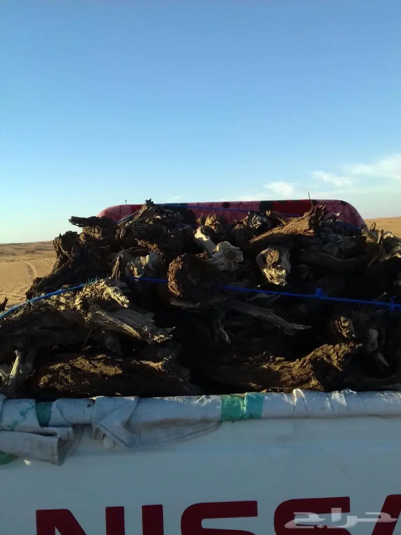 حطب للبيع  (image 1)