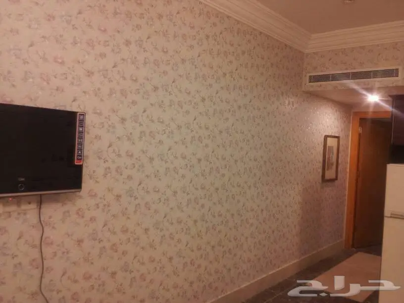 صباغ فنى دهانات دخلى و خارجى (image 51)