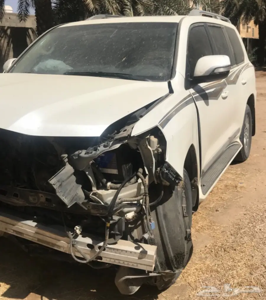 في اكس ار نص فل بريمي 2016 (image 3)