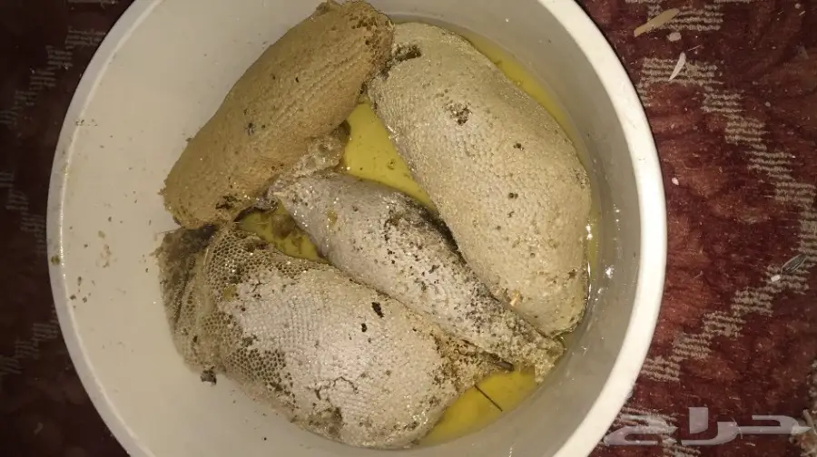 عسل سدر شمع بلدي مضمون بالذمه والامانه (image 3)