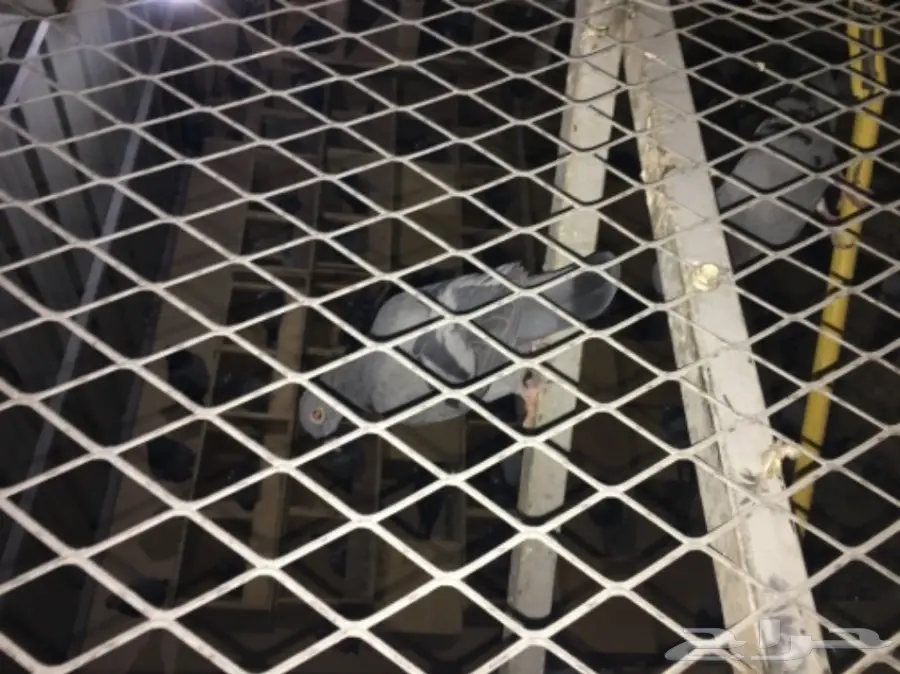  للبيع حمام زاجل مع المخافق (image 3)