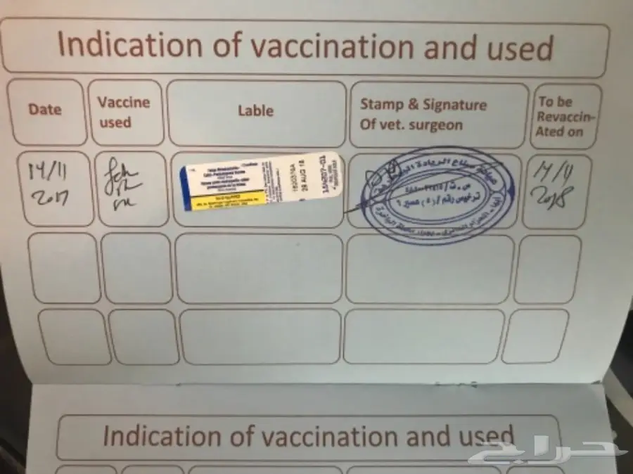 شيرازي للبيع  (image 4)