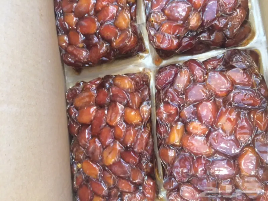 تمورر خلاص اشيقر  VIP الشيوخ (image 2)