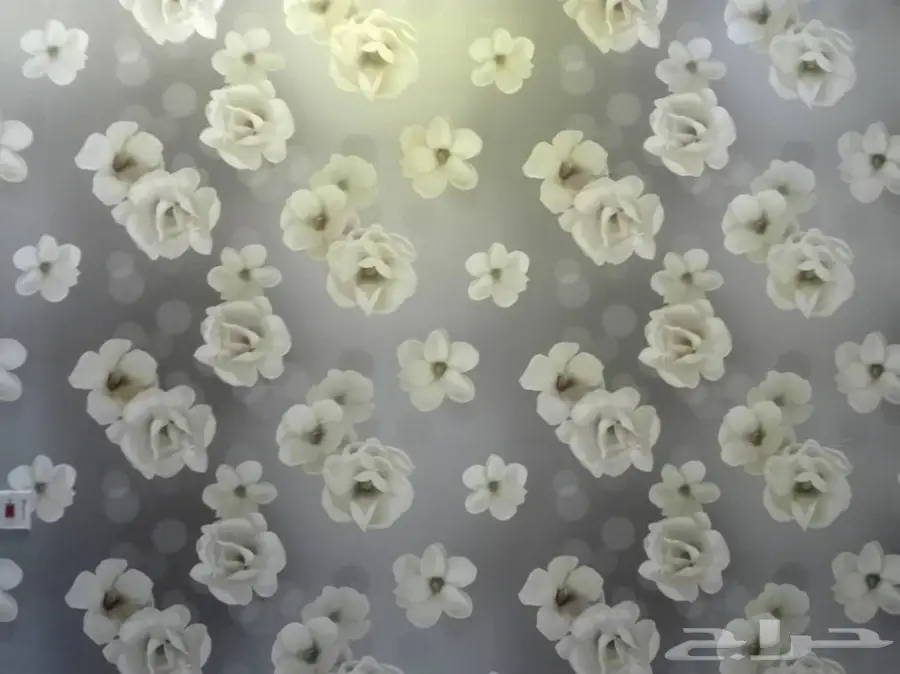 صباغ فنى دهانات دخلى و خارجى (image 62)