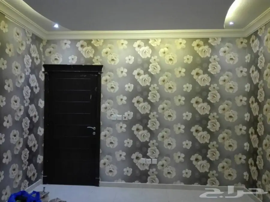 صباغ فنى دهانات دخلى و خارجى (image 64)