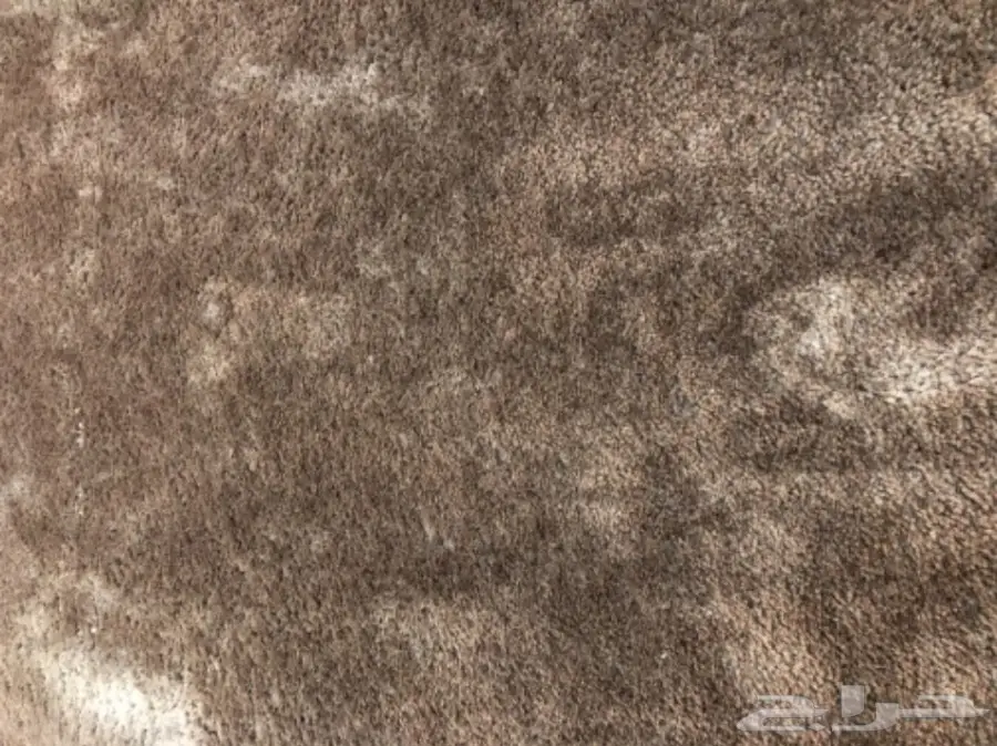 موكيت شبه جديد (image 2)