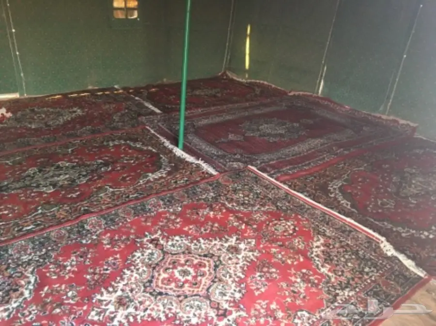 مخيم للايجار ( عرض ) (image 1)