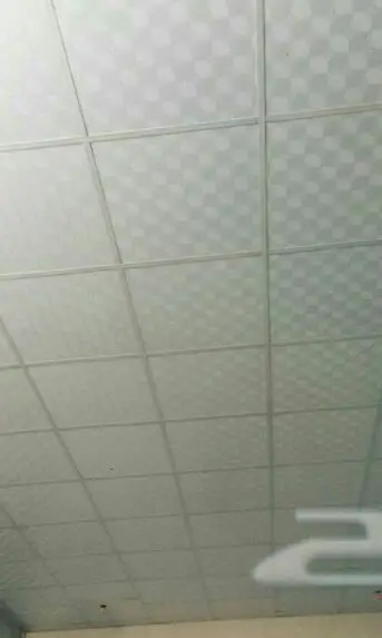 معلم دهانات ديكورات جبس اسقف مستعاره (image 19)