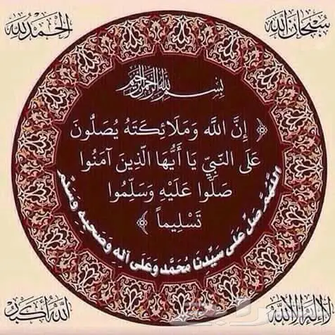 اجهزة كهربائية رائد الاستبدال للاجهزة (image 33)