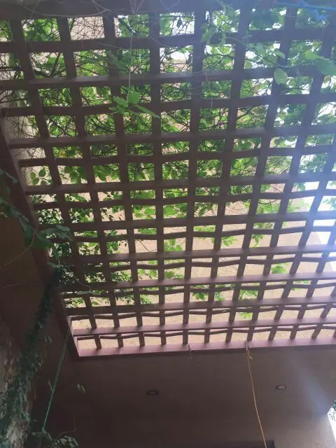 برجولات ومظلات سواتر - التميزج (image 206)