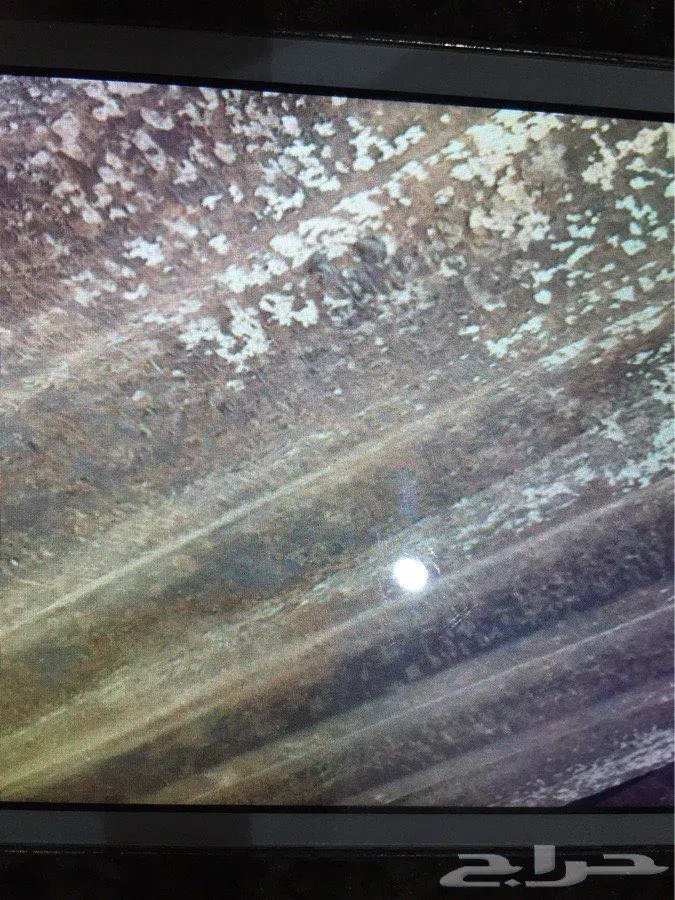 كونتينر للبيع او البدل (image 6)