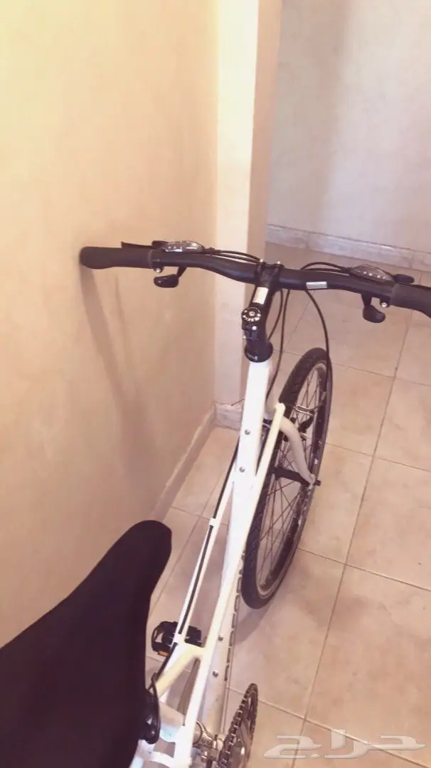 سيكل رياضي من محل الجاريات  (image 2)