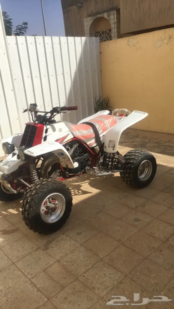 للبيع دباب بانشي 