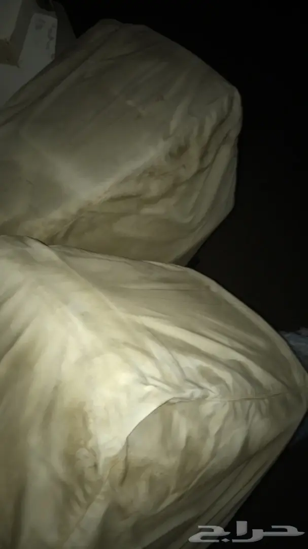 بوت للبيع  (image 5)