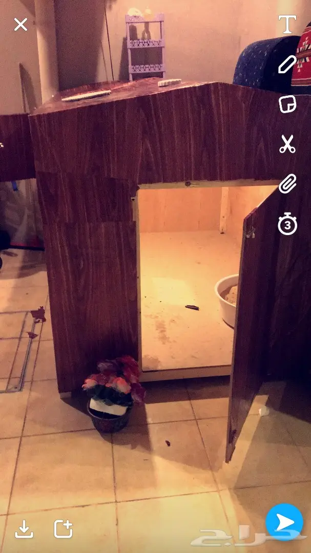 كلبه حامل (image 6)