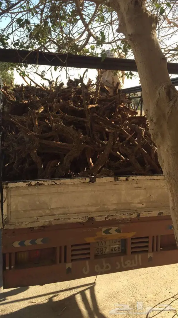 حطب ارطا للبيع (image 1)