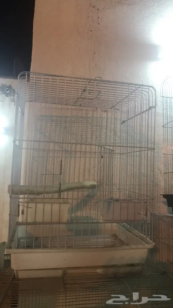 اقفاص وبياضة كاسكو للبيع