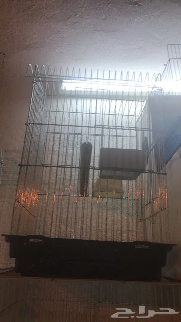 اقفاص وبياضة كاسكو للبيع (image 1)