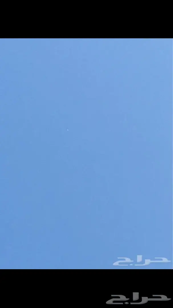 حمام باكستاني للبيع (image 7)