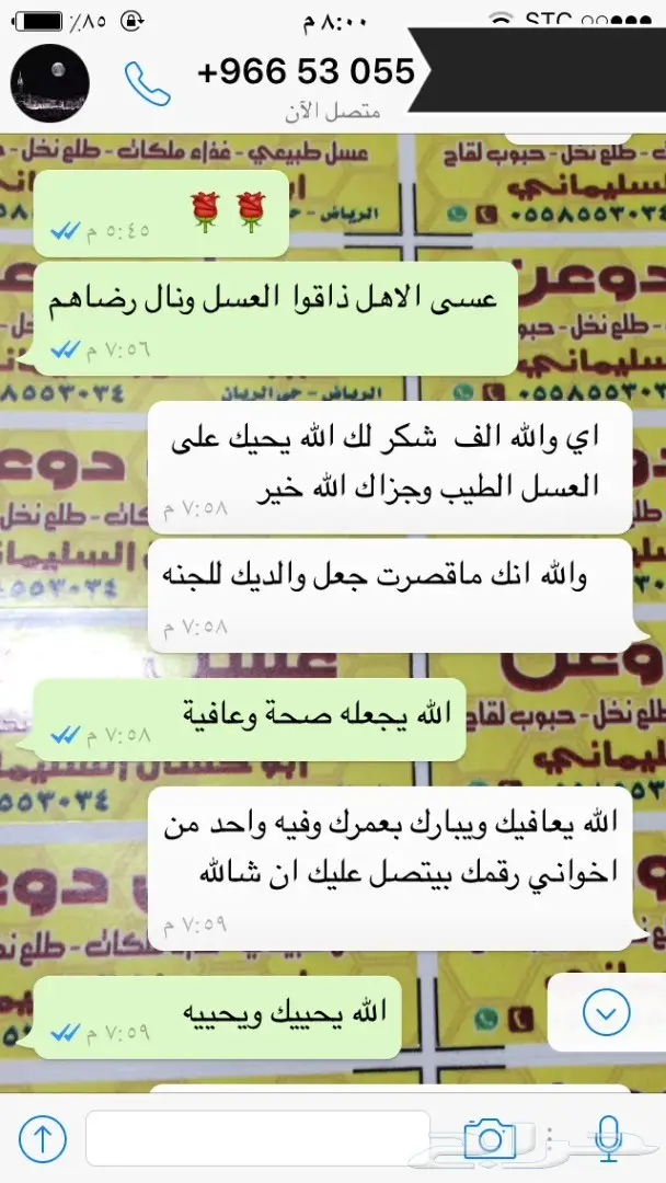 عسل طبيعي وغذاء ملكات: شفاء طبيعي لمنزلكم! (image 22)