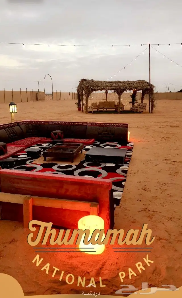 مخيم فخم جدا بروجكتر وعرائش (image 4)