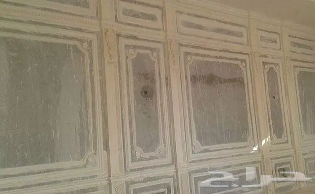 تنفيذ كافه اعمال الجبس وديكور  (image 46)