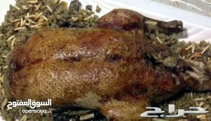 حمام محشى الزوج 40 ريال (image 8)