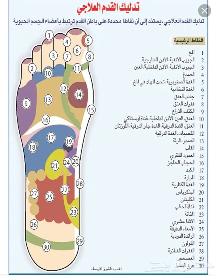 مساج بريفد (image 2)