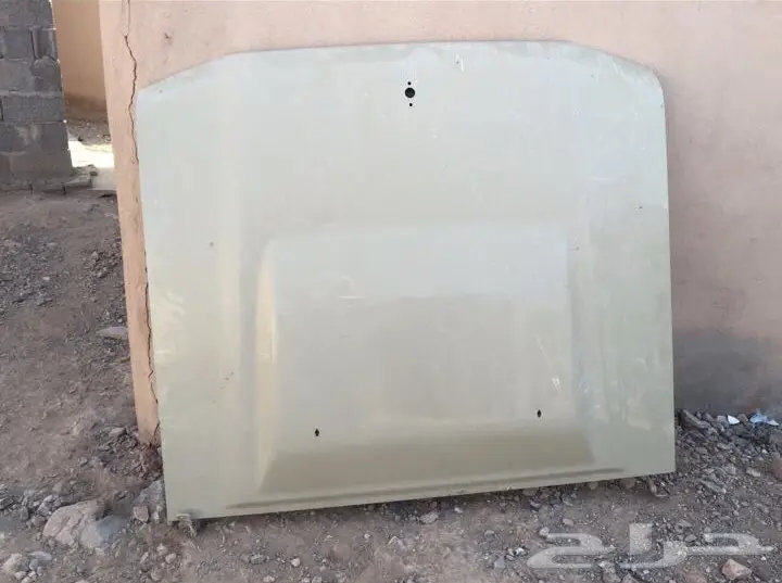 كبوت شاص للبيع