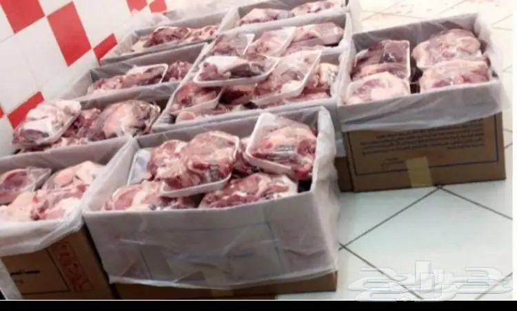 حشو بري لباني ومفرود لايفوتكك(ملحمه الجود) (image 6)