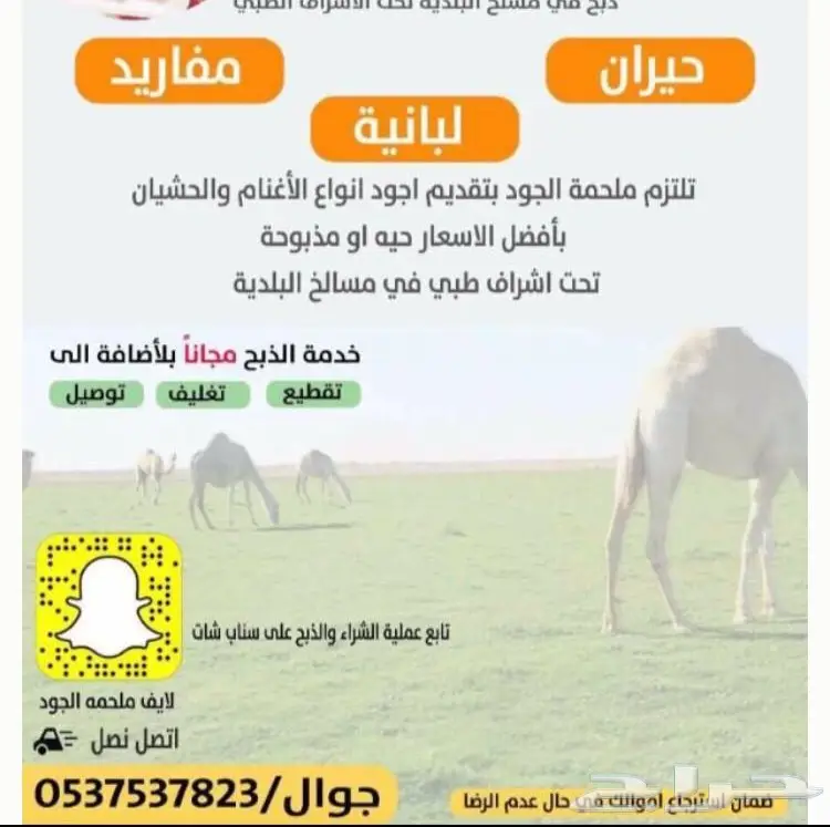 حشو بري لباني ومفرود لايفوتكك(ملحمه الجود) (image 4)